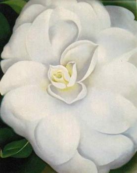 喬治亞 奧基夫 White Camelia